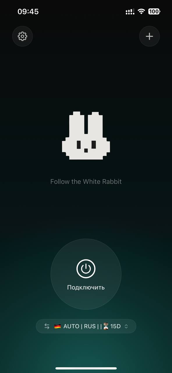 Wrabbit Proxy на iPhone: выбранный профиль и кнопка подключения